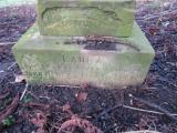 image of grave number 609436
